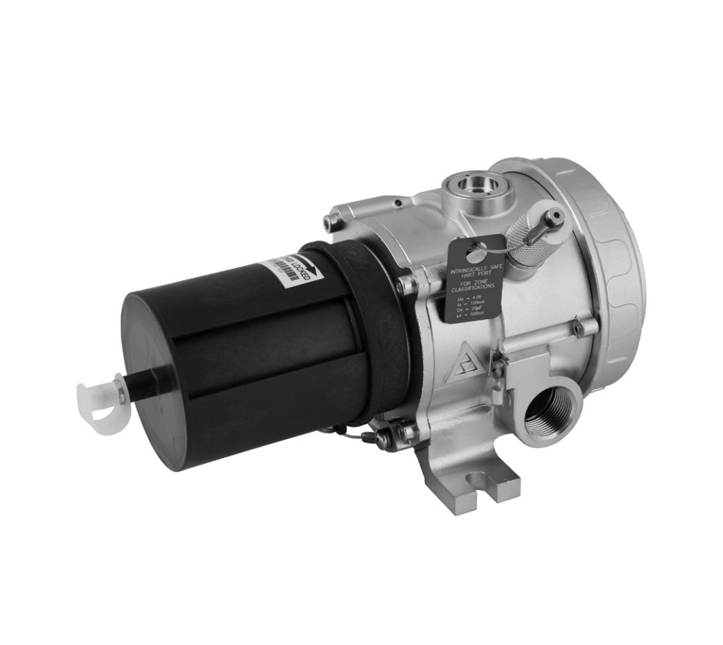 007168-045 | Det-Tronics | PIRECL PointWatch Eclipse Models