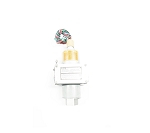 646GZE-11 | CCS | Pressure Switch