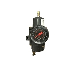 FS67CFR-600 | Fisher | Filter Regulators