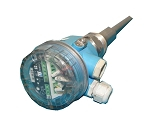 Endress+Hauser | FTM20-AN42A | Point Level Switch