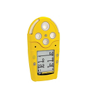 BW M5PID-XWQY-R-P-D-Y-X-00 GasAlertMicro 5 PID Multi-Gas Detector