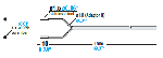 Fiber Optic Sensor: FU-59