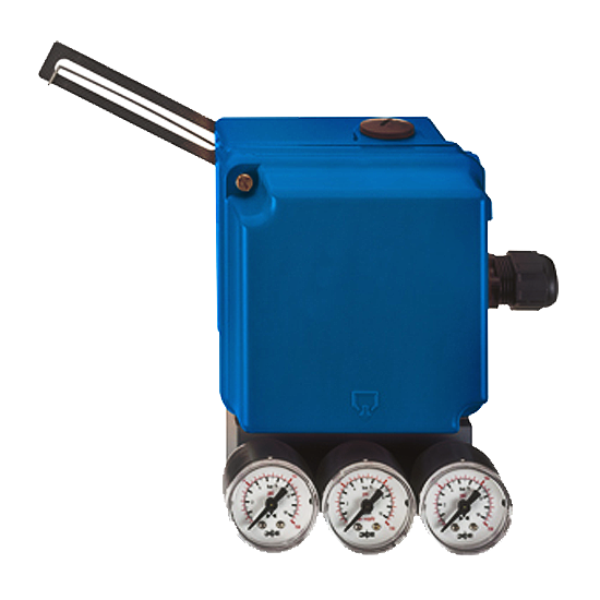 SRI986-CIDS7EAANA-FA-G | Foxboro ( by Schneider Electric )  | Electro-Pneumatic Positioner